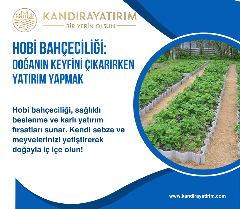 Hobi Bahçeciliği: Doğanın Keyfini Çıkarırken Yatırım Yapmak